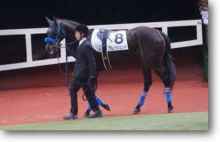 クレッシェンド