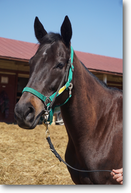 クレッシェンド