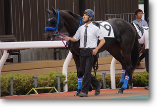 クレッシェンド