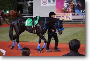 クレッシェンド