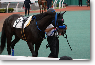 クレッシェンド