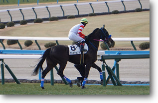 クレッシェンド